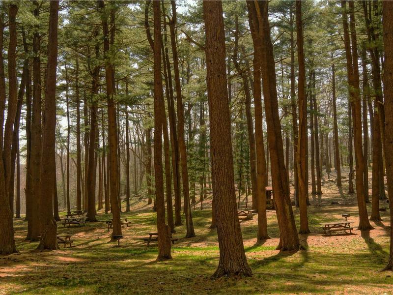 sudoku achievement badge screenshot 6